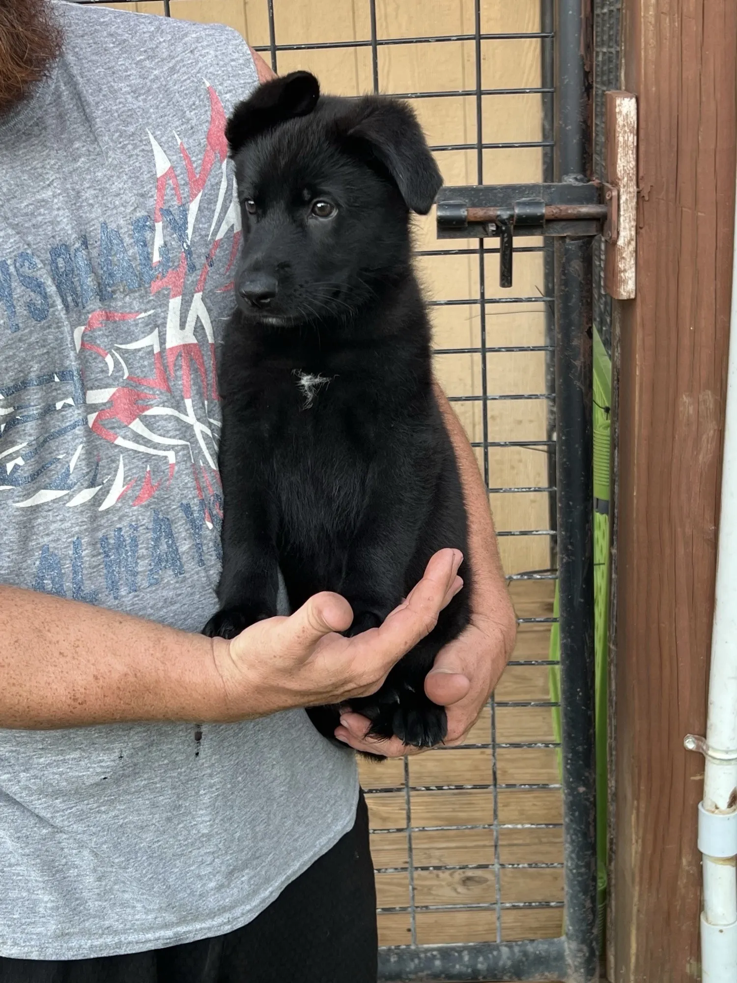 Girl - Black