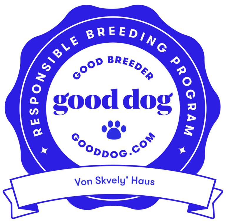 Good Dog Certificate