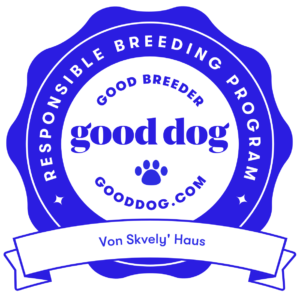 Good Dog Certificate